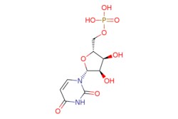 eMolecules​&nbsp;58-97-9 | ChemScene |  Uridine 5-monophosphate |  5g | 536777747 |  CS-0022391 | 324.182 |  C9H13N2O9P