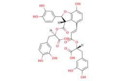 eMolecules​&nbsp;Ambeed / (R)-2-(((2S3S)-4-((E)-3-((R)-1-Carboxy-2-(34-dihydroxyphenyl)ethoxy)-3-oxoprop-1-en-1-yl)-2-(34-dihydroxyphenyl)-7-hydroxy-23-dihydrobenzofuran-3-carbonyl)oxy)-3-(34-dihydroxyphenyl)propanoic acid / 5mg / 491169047 / A179169 /  / 121521-90-2 / [null] / 718.620 / C36H30O16