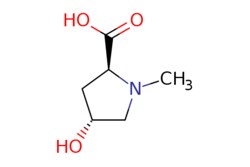 eMolecules​&nbsp;Pharmablock / (2S4R)-4-hydroxy-1-methylpyrrolidine-2-carboxylic acid / 25mg / 586162621 / PBTQ7568 / 0.000 / 4252-82-8 / MFCD01632078 / 145.158 / C6H11NO3