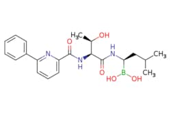 eMolecules​ 847499-27-8 | Ambeed | ((R)-1-((2S3R)-3-Hydroxy-2-(6-phenylpicolinamido)butanamido)-3-methylbutyl)boronic