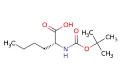 eMolecules​ 55674-63-0 | Medchem Express | Boc-D-norleucine | 1g | 721434795