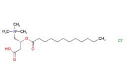 eMolecules​&nbsp;ChemScene / Lauroyl-L-carnitine (chloride) / 100mg / 717419945 / CS-0107272 / 0.000 / 6919-91-1 / MFCD00274131 / 379.970 / C19H38ClNO4