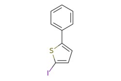 eMolecules​ 13781-37-8 | Ambeed | 2-Iodo-5-phenylthiophene | 1g | 552625396