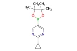 eMolecules​ Ambeed / 2-Cyclopropyl-5-(4455-tetramethyl-132-dioxaborolan-2-yl)pyrimidine