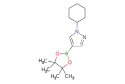eMolecules​ Ambeed / 1-Cyclohexyl-4-(4455-tetramethyl-132-dioxaborolan-2-yl)-1H-pyrazole / 100mg / 525169471 / A279990 /  / 1175275-00-9 / MFCD16659787 / 276.190 / C15H25BN2O2