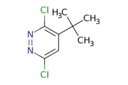 eMolecules​ Pharmablock / 4-tert-butyl-36-dichloropyridazine / 25mg / 742368751