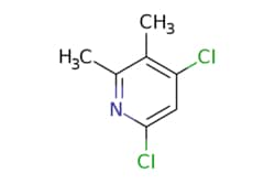 eMolecules​ 101252-84-0 | ChemScene | 46-Dichloro-23-dimethylpyridine |