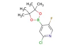 eMolecules​&nbsp;1256360-62-9 | 2-chloro-5-fluoro-4-(4,4,5,5-tetramethyl-1,3,2-dioxaborolan-2-yl)pyridine | Pharmablock | MFCD08063107 | 257.500 | C11H14BClFNO2 | 97.000 | CC1(C)OB(OC1(C)C)c1cc(Cl)ncc1F | 25mg | 788496645