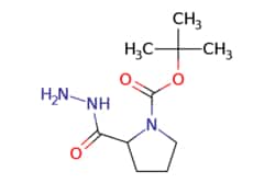 eMolecules​ JW PharmLab LLC / 2-Hydrazinocarbonyl-pyrrolidine-1-carboxylic