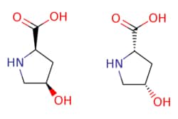 eMolecules​&nbsp;618-27-9 | Medchem Express |  cis-4-Hydroxy-L-proline |  50mg | 582658825 | HY-40136 | 262.262 |  C10H18N2O6