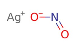 eMolecules​ AstaTech / SILVER NITRITE / 5g / 718058850 / D95565 / 95.000