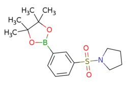 eMolecules​&nbsp;Ambeed / 1-((3-(4455-Tetramethyl-132-dioxaborolan-2-yl)phenyl)sulfonyl)pyrrolidine / 250mg / 717401835 / A953682 /  / 1509932-05-1 / MFCD19288882 / 337.240 / C16H24BNO4S