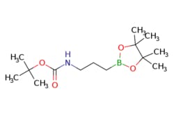 eMolecules​ 1850305-80-4 | Ambeed | tert-Butyl (3-(4455-tetramethyl-132-dioxaborolan-2-yl)propyl)carbamate