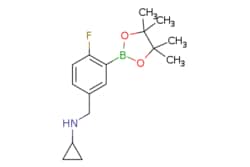 eMolecules​&nbsp;Ambeed / 5-(Cyclopropylaminomethyl)-2-fluorophenylboronic acid pinacol ester / 250mg / 714086542 / A497291 /  / 2096338-43-9 / MFCD18434459 / 291.170 / C16H23BFNO2