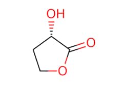 eMolecules​&nbsp;Pharmablock / (3S)-3-hydroxytetrahydrofuran-2-one / 25mg / 784548882 / PBU2099 / 0.000 / 52079-23-9 / MFCD00211245 / 102.089 / C4H6O3