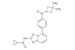 eMolecules​ 1206163-45-2 | Ambeed | N-(5-(4-(33-Dimethylazetidine-1-carbonyl)phenyl)-[124]triazolo[15-a]pyridin-2-yl)cyclopropanecarboxamide