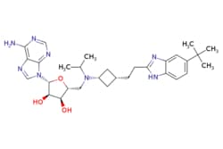 eMolecules​ Ambeed / (2R3R4S5R)-2-(6-Amino-9H-purin-9-yl)-5-(((cis-3-(2-(5-(tert-butyl)-1H-benzo[d]imidazol-2-yl)ethyl)cyclobutyl)(isopropyl)amino)methyl)tetrahydrofuran-34-diol