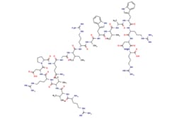 eMolecules​ AstaTech / LYSOZYME FROM CHICKEN EGG WHITE(ENZYME ACTIVITY