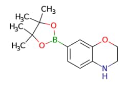 eMolecules​ ChemScene / 7-(4455-Tetramethyl-132-dioxaborolan-2-yl)-34-dihydro-2H-benzo[b][14]oxazine