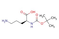 eMolecules​ Ambeed / Boc-Orn-OH / 10g / 525081107 / A164963 / / 21887-64-9