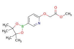 eMolecules​ 2027496-50-8 | Ambeed | Methyl 2-((5-(4455-tetramethyl-132-dioxaborolan-2-yl)pyridin-2-yl)oxy)acetate