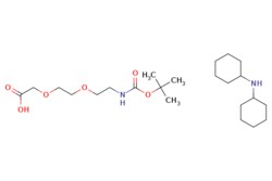 eMolecules​ Ambeed / Dicyclohexylamine 22-dimethyl-4-oxo-3811-trioxa-5-azatridecan-13-oate