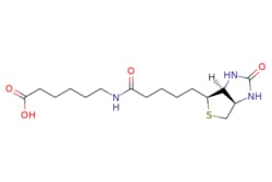 eMolecules​&nbsp;Ambeed / 6-(5-((3aS4S6aR)-2-Oxohexahydro-1H-thieno[34-d]imidazol-4-yl)pentanamido)hexanoic acid / 250mg / 490550473 / A291733 /  / 72040-64-3 / MFCD00144853 / 357.470 / C16H27N3O4S