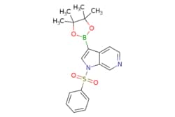 eMolecules​&nbsp;Pharmablock / 1-(benzenesulfonyl)-3-(4455-tetramethyl-132-dioxaborolan-2-yl)-1H-pyrrolo[23-c]pyridine / 25mg / 551273210 / PBN20121754 / 0.000 / 1174038-65-3 / MFCD16658944 / 384.260 / C19H21BN2O4S