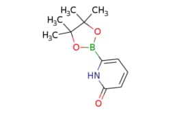 eMolecules​&nbsp;Ambeed / 6-(4455-Tetramethyl-132-dioxaborolan-2-yl)pyridin-2(1H)-one / 100mg / 525044377 / A136982 /  / 1310405-04-9 / MFCD09878933 / 221.060 / C11H16BNO3