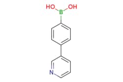 eMolecules​ Ambeed / (4-(Pyridin-3-yl)phenyl)boronic acid / 1g / 503281910