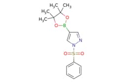 eMolecules​&nbsp;ChemScene / 1-(Phenylsulfonyl)-4-(4455-tetramethyl-132-dioxaborolan-2-yl)-1H-pyrazole / 250mg / 602869122 / CS-W016738 / 0.000 / 1073372-04-9 / MFCD09037504 / 334.200 / C15H19BN2O4S