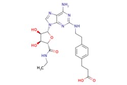 eMolecules​ 120225-54-9 | Ambeed | 3-(4-(2-((6-Amino-9-((2R3R4S5S)-5-(ethylcarbamoyl)-34-dihydroxytetrahydrofuran-2-yl)-9H-purin-2-yl)amino)ethyl)phenyl)propanoic