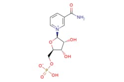 eMolecules​&nbsp;Ambeed / ((2R3S4R5R)-5-(3-Carbamoylpyridin-1-ium-1-yl)-34-dihydroxytetrahydrofuran-2-yl)methyl hydrogen phosphate / 5g / 525183203 / A315149 /  / 1094-61-7 / MFCD00038748 / 334.221 / C11H15N2O8P