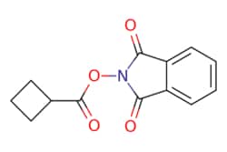 eMolecules​ 1872262-64-0 | Ambeed | 13-Dioxoisoindolin-2-yl cyclobutanecarboxylate