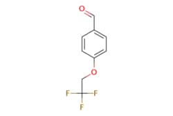 eMolecules​ Synthonix / 4-(222-trifluoroethoxy)benzaldehyde / 100mg / 794074627