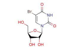 eMolecules​&nbsp;Medchem Express / 5-Bromouridine / 1g / 789374008 / HY-W009163 /  / 957-75-5 / [null] / 323.099 / C9H11BrN2O6