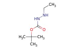 eMolecules​ AstaTech / TERT-BUTYL 2-ETHYLHYDRAZINECARBOXYLATE / 0.25g /