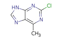 eMolecules​ 1681-19-2 | Ambeed | 2-Chloro-6-methyl-9H-purine | 100mg |