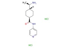 eMolecules​&nbsp;129830-38-2 | Medchem Express |  Y-27632 (dihydrochloride) |  10mg | 446258908 | HY-10583 | MFCD03490488 | 320.26 |  C14H23Cl2N3O