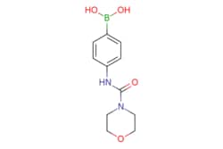 eMolecules​ 1015242-57-5 | Ambeed | (4-(Morpholine-4-carboxamido)phenyl)boronic