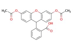 eMolecules​&nbsp;Ambeed / 2-(36-Diacetoxy-9H-xanthen-9-yl)benzoic acid / 250mg / 601095623 / A192744 /  / 35340-49-9 / MFCD00005056 / 418.401 / C24H18O7