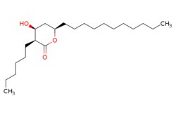 eMolecules​ Pharmablock / (3S4S6R)-3-hexyl-4-hydroxy-6-undecyl-tetrahydropyran-2-one