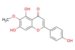 eMolecules​ Medchem Express / Hispidulin / 5mg / 446275649 / HY-N1950 /
