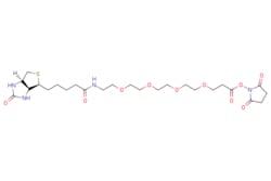 eMolecules​&nbsp;Medchem Express / Biotin-PEG4-NHS ester / 50mg / 527574014 / HY-140889 /  / 459426-22-3 / MFCD08458915 / 588.670 / C25H40N4O10S