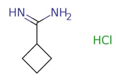 eMolecules​ AstaTech / CYCLOBUTANECARBOXAMIDINE HCL / 0.25g / 451911449