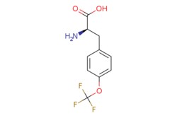 eMolecules​ 1241677-90-6 | ChemScene | (R)-2-Amino-3-(4-(trifluoromethoxy)phenyl)propanoic