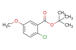 eMolecules​ AOBChem USA / Tert-butyl 2-chloro-5-methoxybenzoate / 1g /