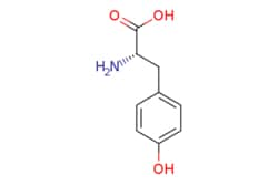 eMolecules​ 60-18-4 | Medchem Express | L-Tyrosine | 200mg | 446275106