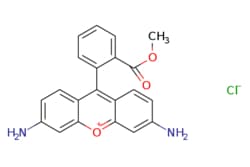 eMolecules​ Medchem Express / Rhodamine 123 / 5mg / 446274301 / HY-D0816 /  / 62669-70-9 / MFCD22423020 / 380.830 / C21H17ClN2O3