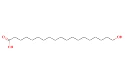 eMolecules​ 22438-61-5 | Ambeed | 19-Hydroxynonadecanoic acid | 1g | 632810318